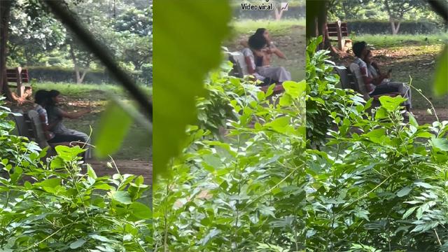 Delhi Teen Couple In Park Viral Xx Video – Xxx Video